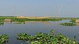 Fischerboote in Maguri Beel - Indien - Assam - Land und Leute