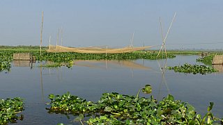 Fischerboote in Maguri Beel - Indien - Assam - Land und Leute