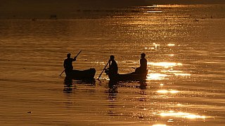 Mit dem Ruderboot auf dem Brahmaputra - Indien - Assam - Land und Leute