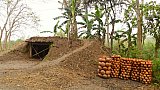 Brennofen f&uuml;r T&ouml;pferwaren auf Majuli - Indien - Assam - Land und Leute