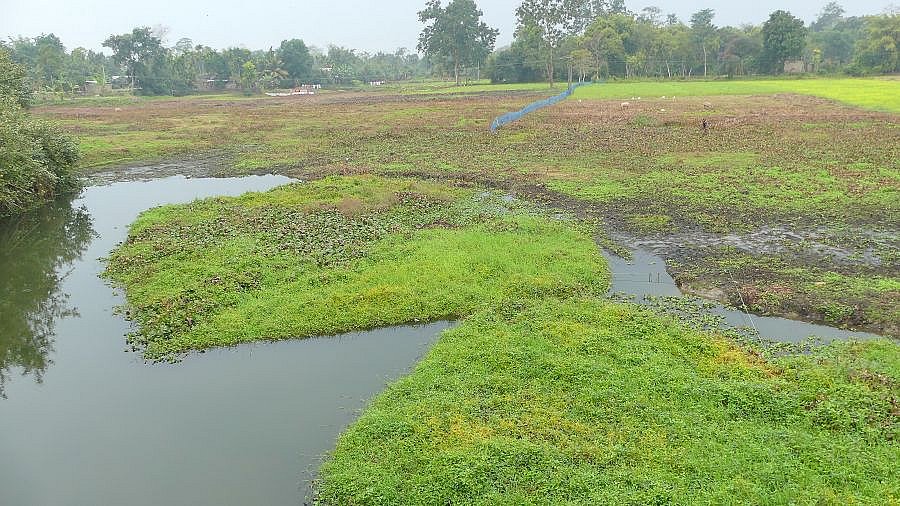 Idyllische Landschaft auf Majuli Island - Indien - Assam - Land und Leute