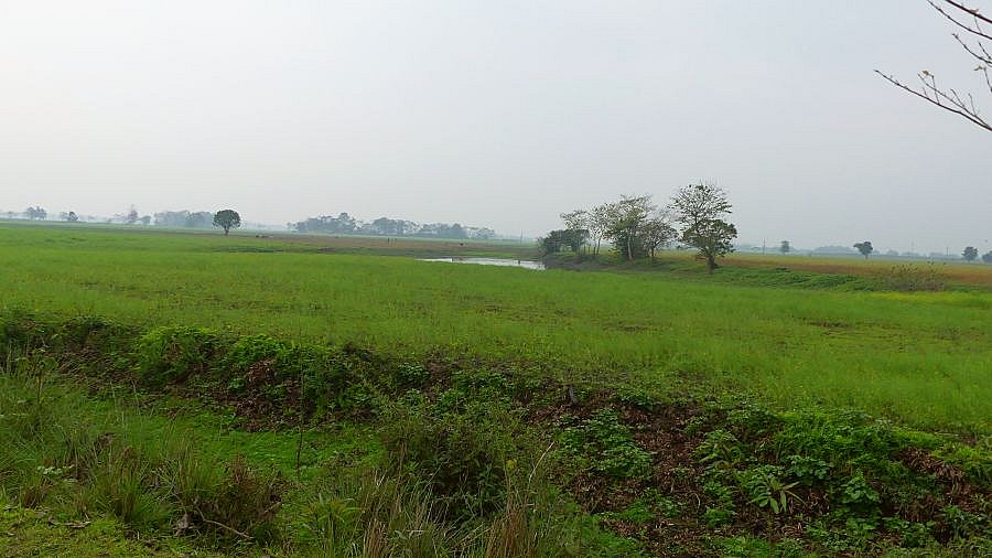 Landschaft auf Majuli Island - Indien - Assam - Land und Leute