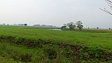 Landschaft auf Majuli Island - Indien - Assam - Land und Leute