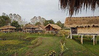 Ygdrasill Bamboo Cottages auf Majuli - Indien - Assam - Essen und Schlafen