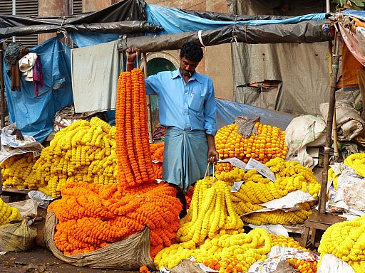 Blumenmarkt in Calcutta - West-Bengalen: Land-und-Leute