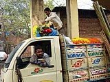 Nachschub f&uuml;r den Blumenmarkt in Calcutta - West-Bengalen: Land-und-Leute