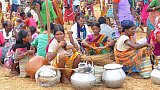 Palmwein auf dem Wochenmarkt in Mardum - Chhattisgarh: Land-und-Leute