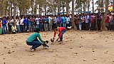 Hahnenk&auml;mpfe auf dem Wochenmarkt in Pamela - Chhattisgarh: Land-und-Leute