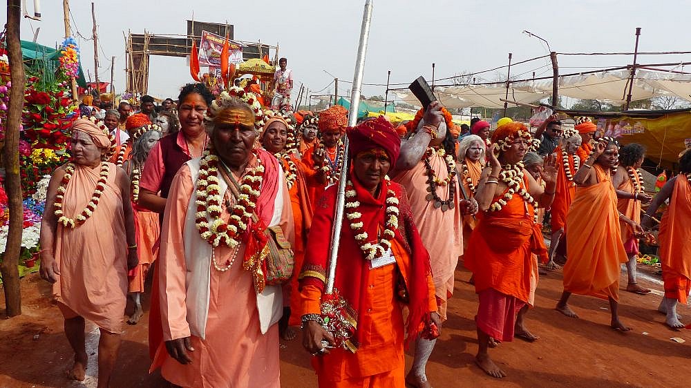 Festumzug auf der Rajim Kumbh Mela - Chhattisgarh: Land-und-Leute
