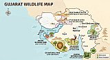 Naturschutzgebiete in Gujarat - IND-Blog-Bilder