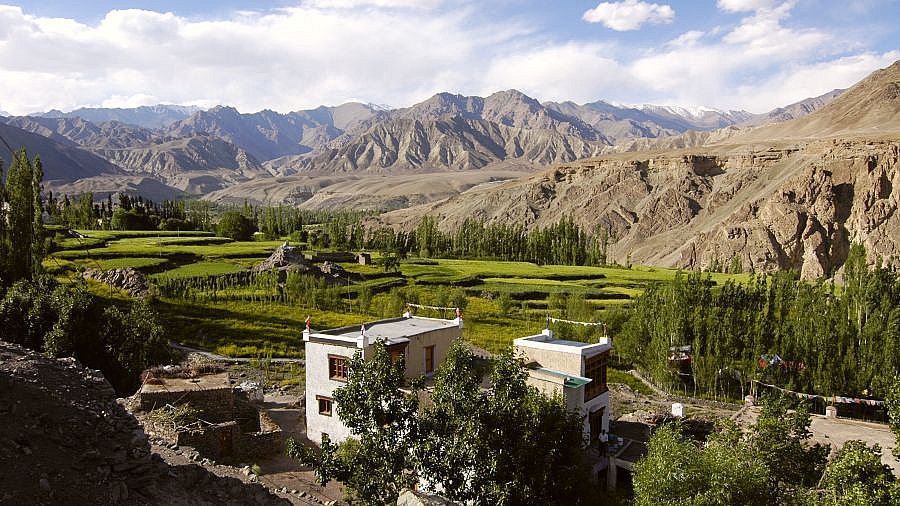 Landschaftlicher Kontrast in Alchi - Ladakh: Landschaft