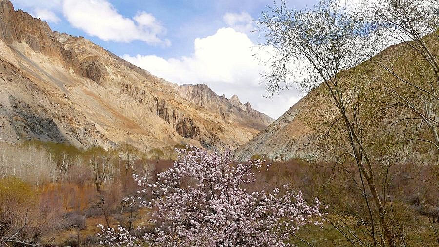 Markha Valley - Ladakh: Landschaft