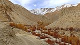 Fahrt nach Ulley - Ladakh: Landschaft