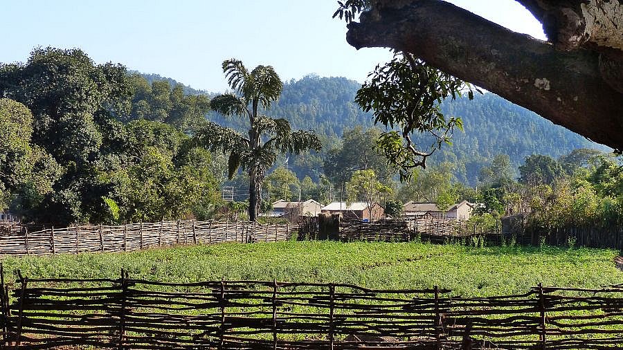 Desia Kondh-Dorf in den Ost Ghats - Chhattisgarh: Land-und-Leute