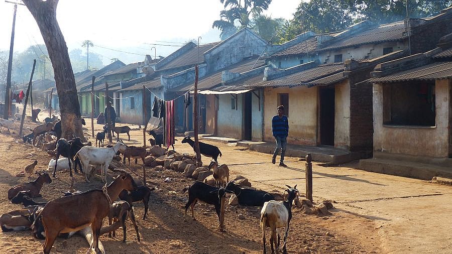 Dorfstra&szlig;e in einem Dorf bei Pushangia - Chhattisgarh: Land-und-Leute