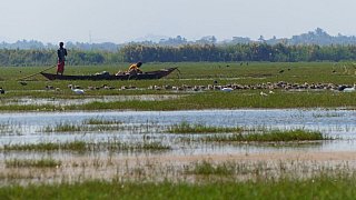 Winterquartier f&uuml;r Zugv&ouml;gel am Chilika See - Chhattisgarh: Landschaft