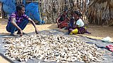 Fischtrocknen - Chhattisgarh: Land-und-Leute