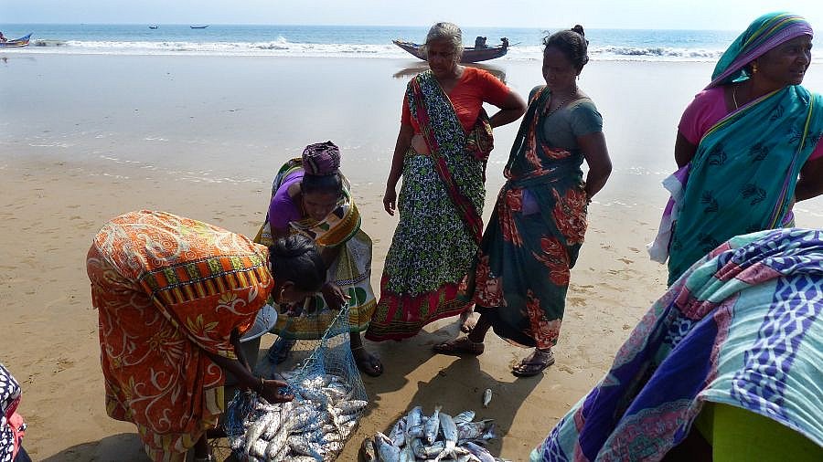 Aussortieren des Fischfangs - Chhattisgarh: Land-und-Leute