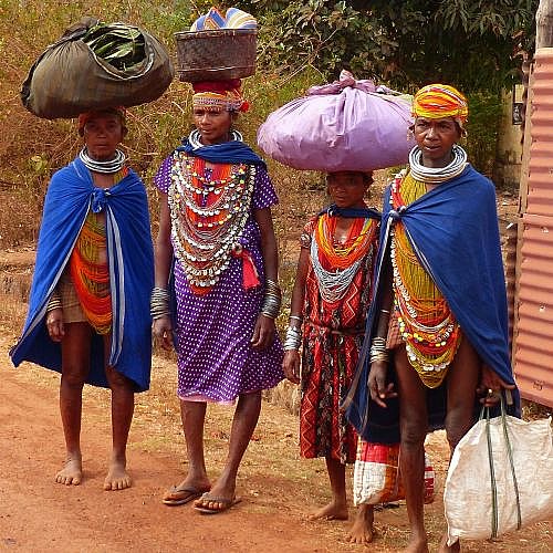 Bonda-Frauen auf dem Weg nach Onukudelli - Chhattisgarh: Land-und-Leute