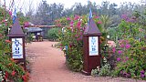 Lotus Resort am Chandrabhaga Beach - Chhattisgarh: Essen & Schlafen