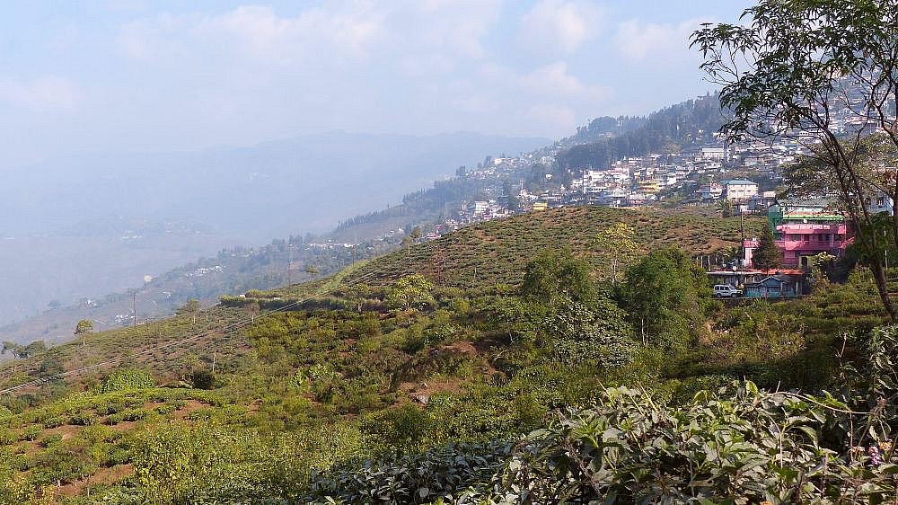 Blick auf Darjeeling - West-Bengalen: Landschaft