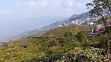 Blick auf Darjeeling - West-Bengalen: Landschaft