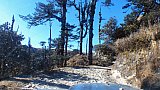 Steinige Piste entlang der Singalila Ridge - IND-Blog-Bilder