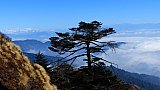 Blick von Sandakphu - West-Bengalen: Landschaft