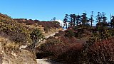 Wegstrecke auf dem Singalila Ridge Trek - West-Bengalen: Landschaft