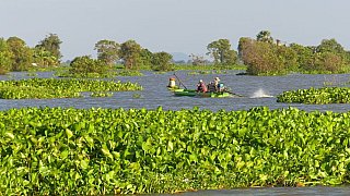 Tonle Sap-Fluss - Kambodscha-Landschaft