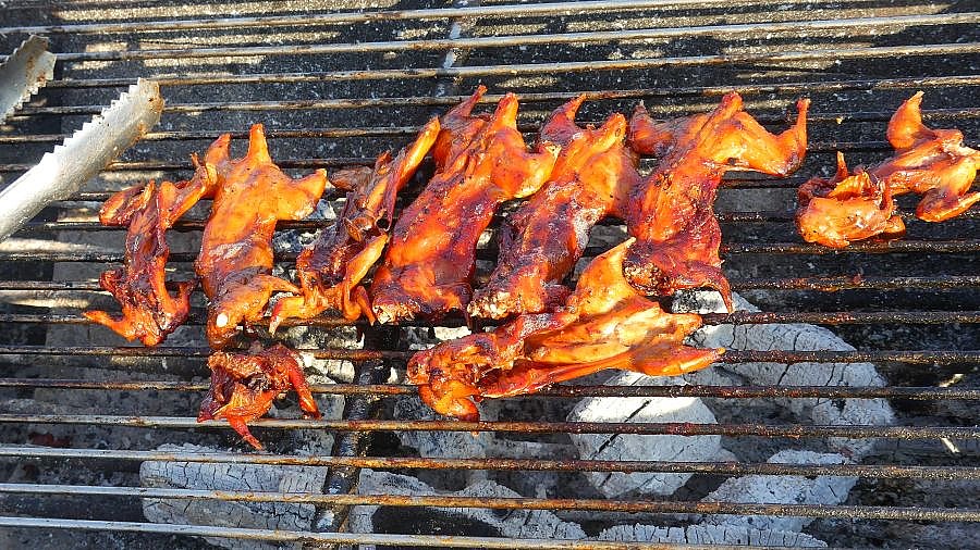 Gegrillte Fr&ouml;sche - Kambodscha - Essen und Schlafen