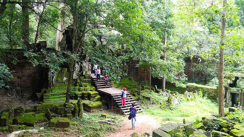 Dschungelpfad in Angkor Thom - Kambodscha - Sehensw&uuml;rdigkeiten