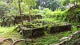 Pfad durch den Dschungel in Angkor Thom - Kambodscha - Sehensw&uuml;rdigkeiten