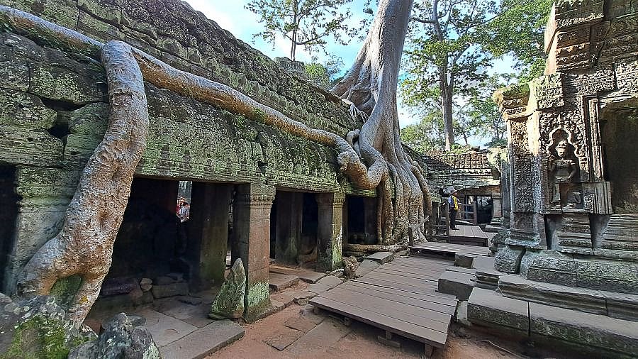 Ta Prohm-Tempel - Kambodscha - Sehensw&uuml;rdigkeiten