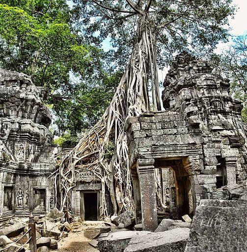 Ta Prohm- Tempel - Kambodscha - Sehensw&uuml;rdigkeiten