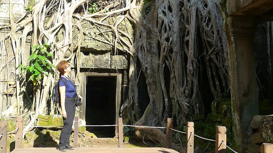 &Uuml;berwucherter Ta Prohm-Tempel - Kambodscha - Sehensw&uuml;rdigkeiten