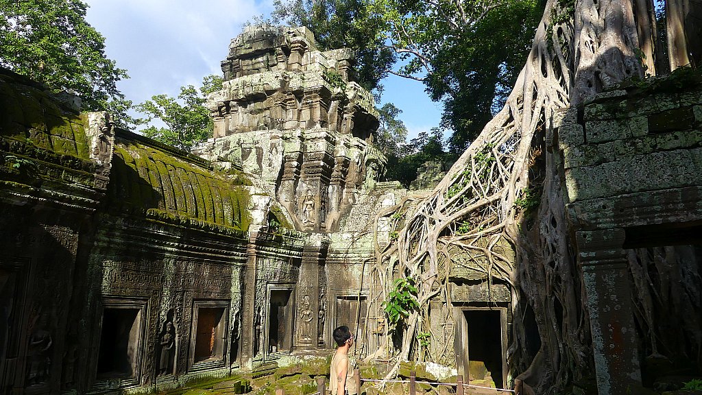 Ta Prohm im W&uuml;rgegriff des Dschungels - Kambodscha - Sehensw&uuml;rdigkeiten