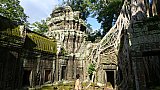 Ta Prohm im W&uuml;rgegriff des Dschungels - Kambodscha - Sehensw&uuml;rdigkeiten
