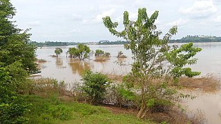 Mekong-Ufer bei Preak Rumkel - Kambodscha-Landschaft