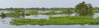 Bootstour auf dem Tonle Sap - Kambodscha-Landschaft
