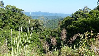 Berglandschaft im Norden von Laos - Laos - Landschaft