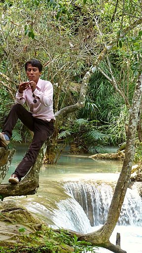 Wasserpool der Kuang Si Wasserf&auml;lle - Laos - Blog