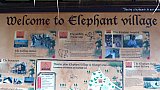 Elefanten-Camp bei Luang Prabang - Laos - Land und Leute