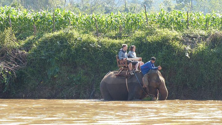 Ritt auf dem Elefantenr&uuml;cken - Laos - Land und Leute