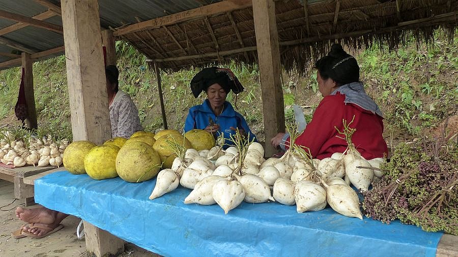 Obst und Gem&uuml;se am Stra&szlig;enrand - Laos - Land und Leute