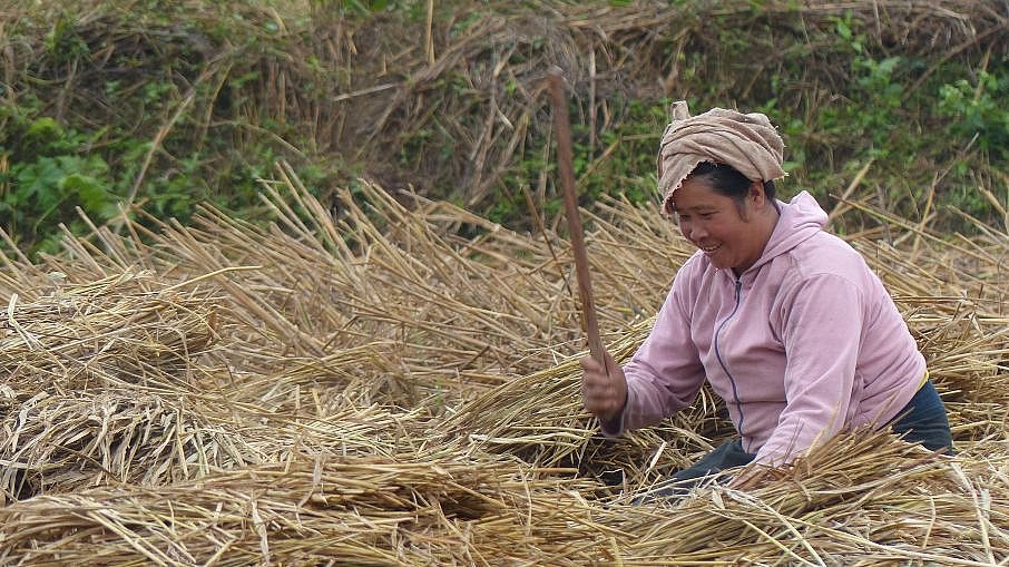 Feldarbeit in Muang Ngoi - Laos - Land und Leute