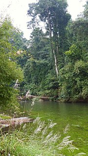 Idyllische Flusslandschaft im Bergurwald - Laos - Landschaft