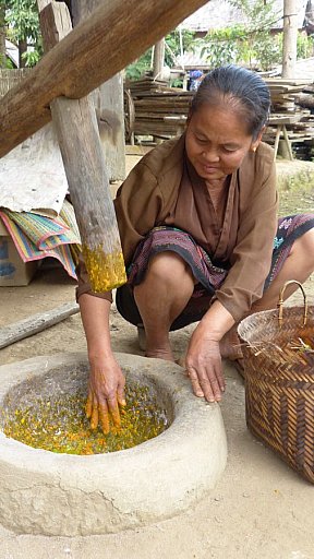 Herstellung von Naturfarben im Weberdorf - Laos - Land und Leute