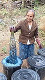 Farben-Herstellung im Weber-Dorf - Laos - Land und Leute