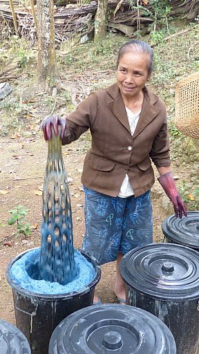 Farben-Herstellung im Weber-Dorf - Laos - Land und Leute